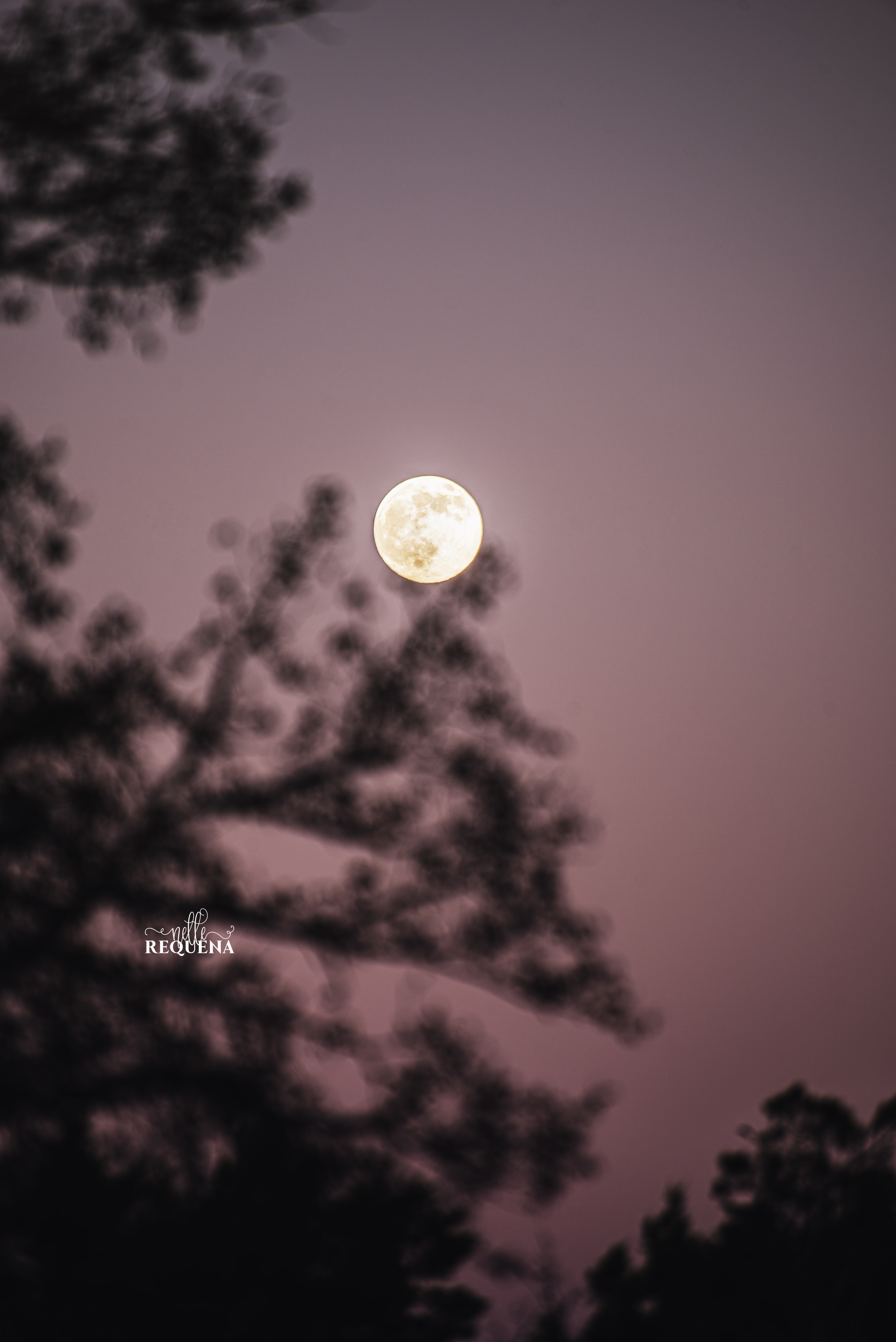 Texas Sky – November