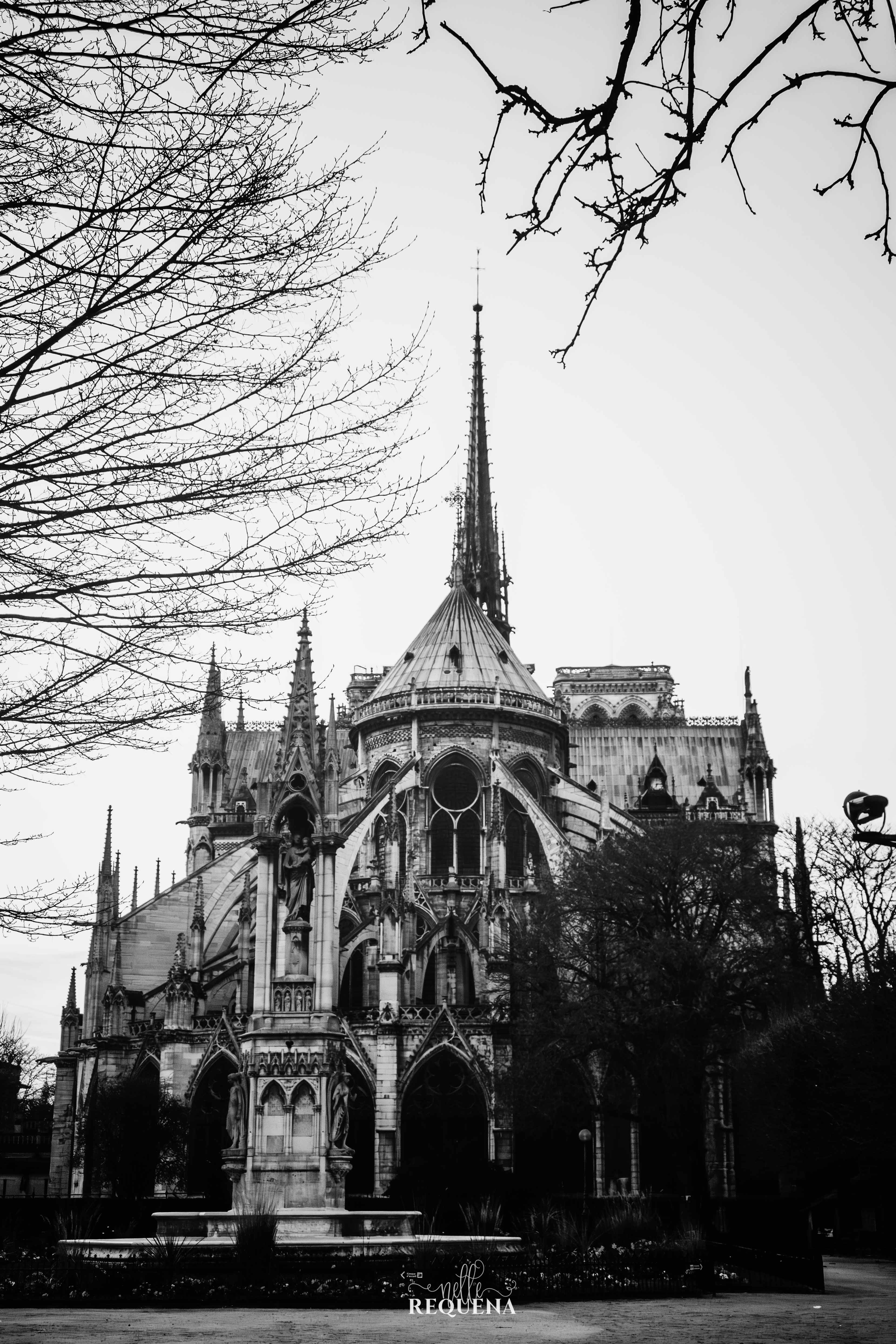Notre-Dame — Before the Fire