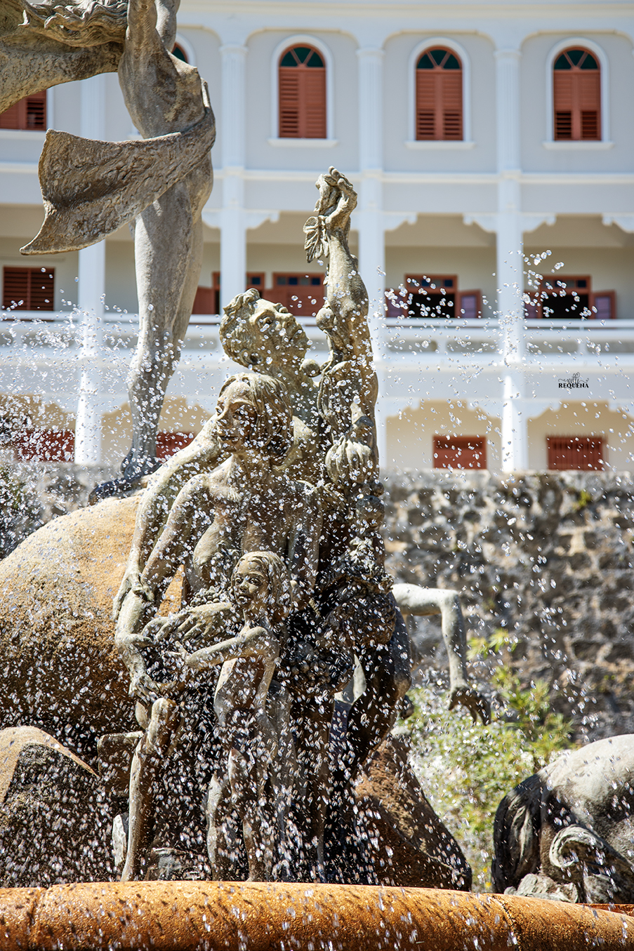 Fuente Raices