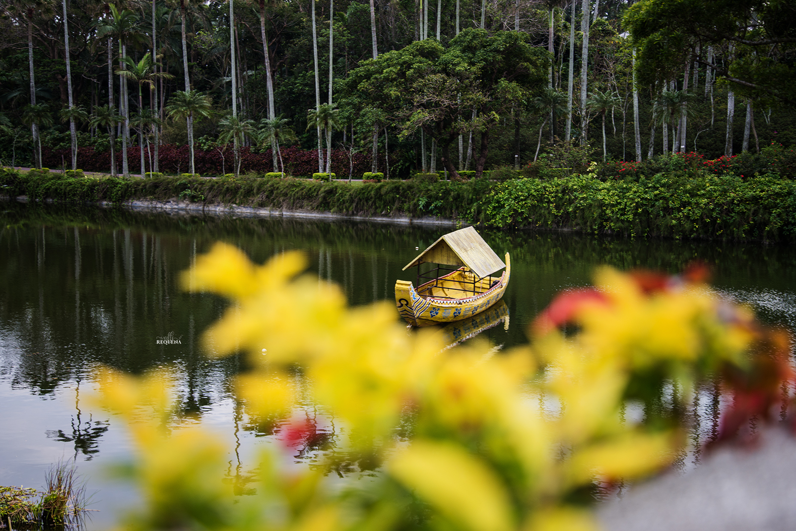 Stillness