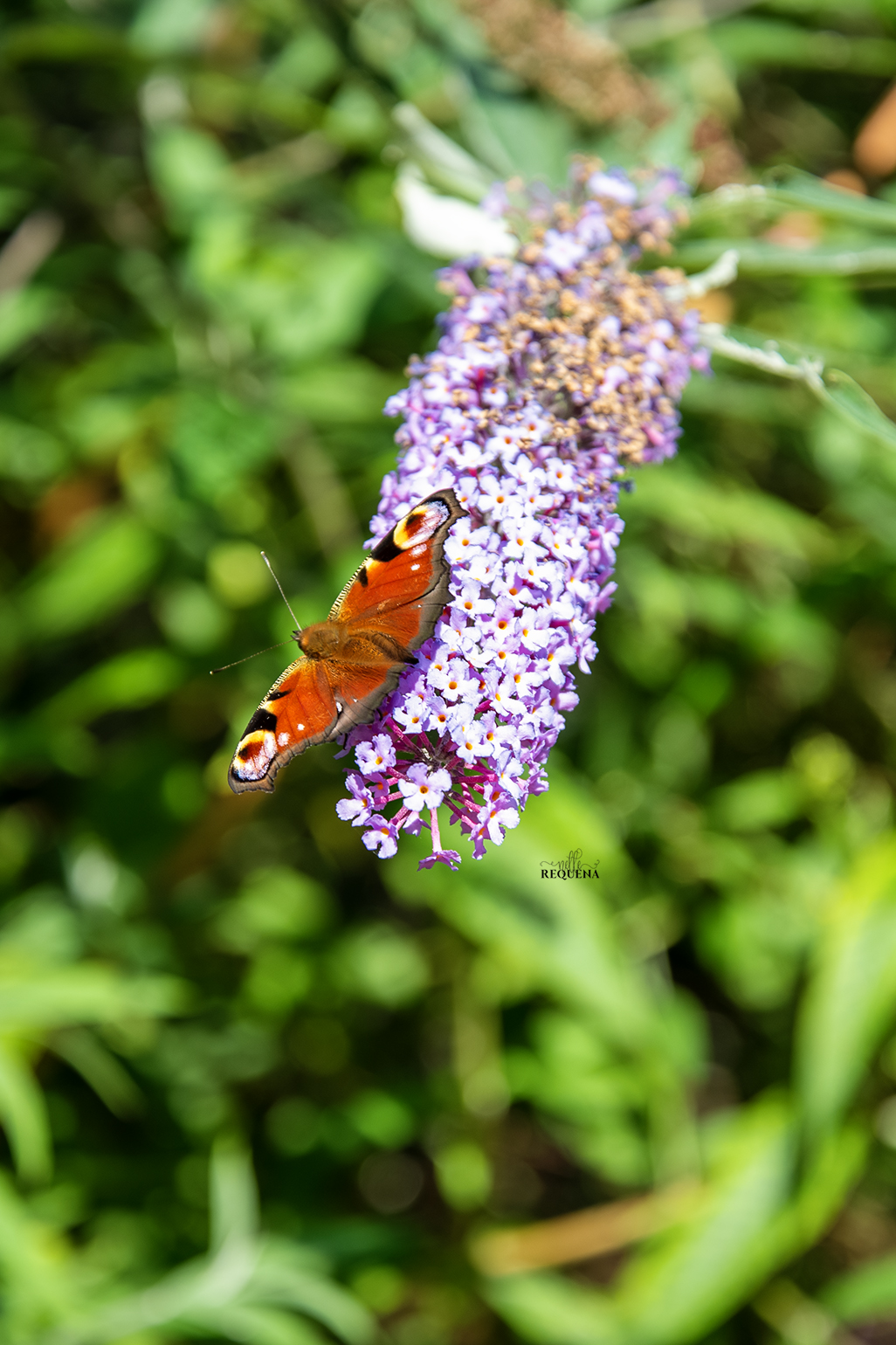 Landing